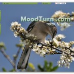MoodTurn