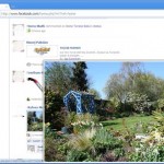 facebook-zoom
